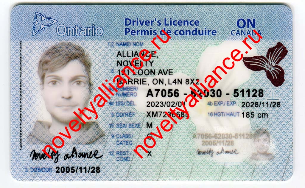 CANADA ONTARIO  2022 FULLY POLYCARD