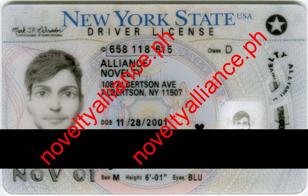 NEW-YORK NEW O21 2022 FULLY POLYCARD V4